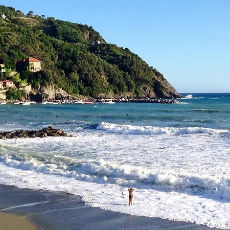 La Casa Di Vera * Levanto